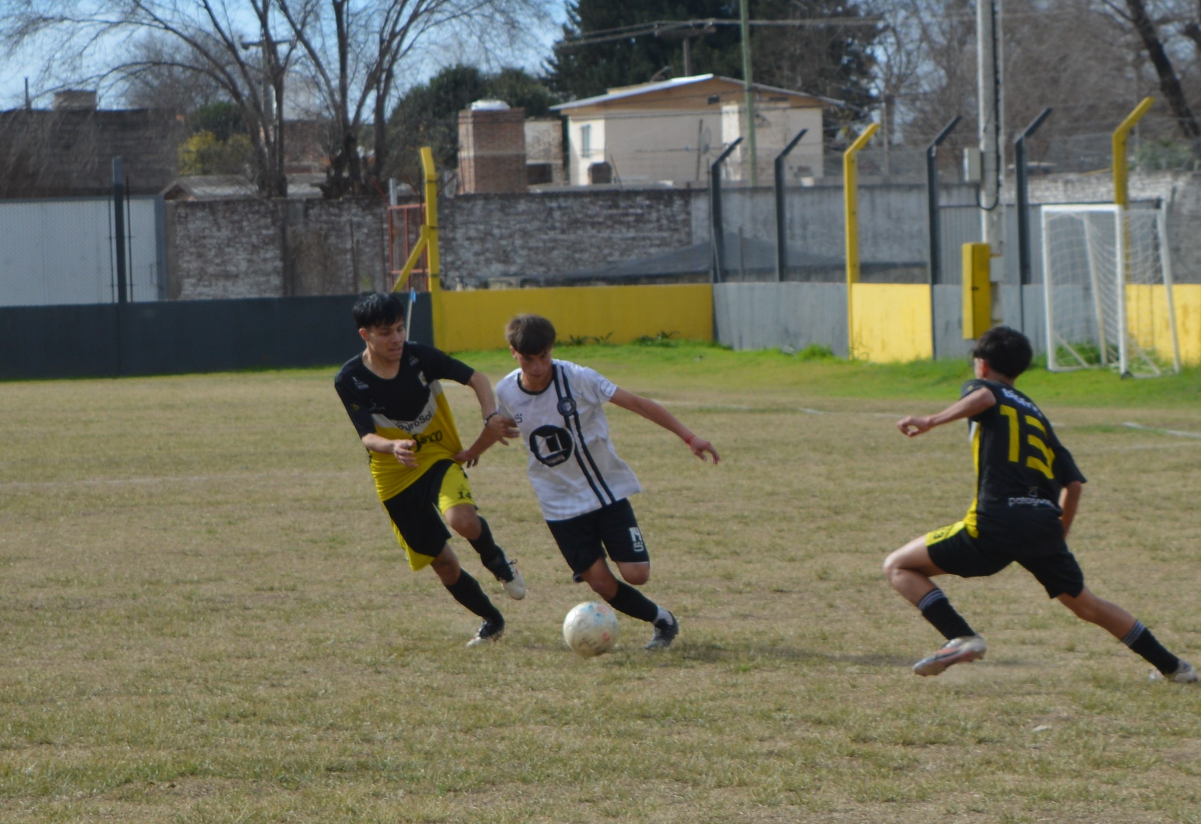 Imagen 1